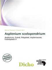 Asplenium scolopendrium,6138498895,9786138498896