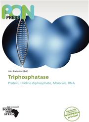 Triphosphatase,6139363594,9786139363599