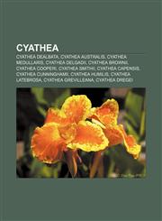 Cyathea Cyathea dealbata, Cyathea australis, Cyathea medullaris, Cyathea delgadii, Cyathea brownii, Cyathea cooperi, Cyathea smithii,1155698231,9781155698236