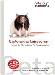 Castoroides Leiseyorum,6135438662,9786135438666