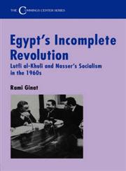 Egypt's Incomplete Revolution Lufti Al-Khuli and Nasser's Socialism in the 1960's,0714642959,9780714642956