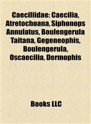 Caeciliidae Introduction Caecilia, Atretochoana, Siphonops Annulatus, Boulengerula Taitana, Gegeneophis, Oscaecilia, Dermophis, Schistometopum,1155165284,9781155165288