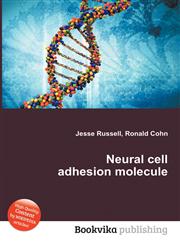 Neural Cell Adhesion Molecule,5511332542,9785511332543