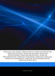Articles On Panicum, including Proso Millet, Panicum Virgatum, Panicum Acostia, Panicum Rigidum, Panicum Socotranum, Panicum Antidotale, Panicum Decompositum, Panicum Turgidum, Panicum Capillare, Panicum Sumatrense,1243184620,9781243184627