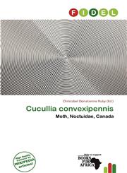 Cucullia convexipennis,6138259130,9786138259138