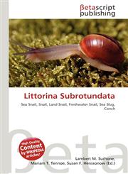 Littorina Subrotundata,6137512576,9786137512579
