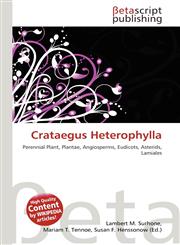 Crataegus Heterophylla,6134868671,9786134868679