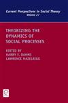 Theorizing the Dynamics of Social Processes,0857242237,9780857242235