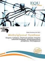 Methylglyoxal Synthase,620013118X,9786200131188