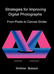 Strategies for Improving Digital Photographs From Pixels to Canvas Giclee,1432789902,9781432789909