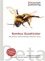 Bombus Quadricolor,6136099543,9786136099545