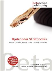 Hydrophis Stricticollis,6135200674,9786135200676