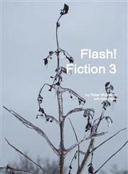 Flash! Fiction 3,1312399643,9781312399648