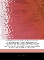 Articles On Dendrosenecio, including Dendrosenecio Keniodendron, Dendrosenecio Keniensis, Dendrosenecio Battiscombei, Dendrosenecio Meruensis, Dendrosenecio Cheranganiensis, Dendrosenecio Elgonensis, Dendrosenecio Erici-rosenii,1243184566,9781243184566