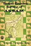 Techno-Economic Survey of Assam