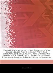 Articles On Flora Of Chihuahua, including Platanus, Acacia Greggii, Limber Pine, Chihuahua White Pine, Chihuahua Pine, Pinus Remota, Picea Engelmannii, Parkinsonia Aculeata, Quercus Gambelii, Juniperus Scopulorum, Prosopis Pubescens,1244485659,9781244485655