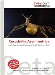 Cerodrillia Asymmetrica,613634565X,9786136345659