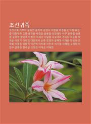 Joseongwijog Joseongwijog Geobuja, Yunboseon, Yunchiho, Gimseongsu, Iwan-Yong, Ijun-Yong, Sin-Ighui, Yugiljun, Daehanjegug Gojong,1233939114,9781233939114
