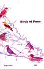 Birds of Pune