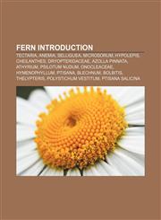 Fern Introduction Tectaria, Anemia, Selliguea, Microsorum, Hypolepis, Cheilanthes, Dryopteridaceae, Azolla pinnata, Athyrium, Psilotum nudum,1155931459,9781155931456
