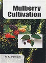 Mulberry Cultivation,8176221864,9788176221863