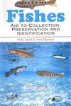 Fishes Aid to Collection, Preservation and Identification 1st Edition,8170354323,9788170354321