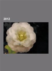 2012 2012 Conferences, 2012 Disestablishments, 2012 Elections, 2012 Establishments, 2012 in Antarctica, 2012 in Asia, 2012,1230599029,9781230599021