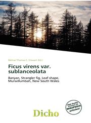 Ficus virens var. sublanceolata,6135694456,9786135694451
