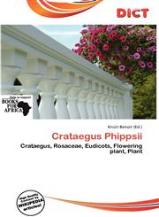 Crataegus Phippsii,6139552850,9786139552856