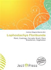 Lophostachys Floribunda,6136760010,9786136760018