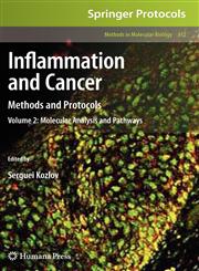 Inflammation and Cancer Methods and Protocols: Volume 2, Molecular Analysis and Pathways Vol. 2,1603275290,9781603275293