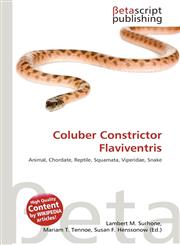 Coluber Constrictor Flaviventris,6135179160,9786135179163