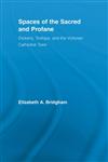 Spaces of the Sacred and Profane Dickens, Trollope, and the Victorian Cathedral Town,0415542227,9780415542227