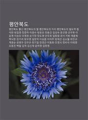 Pyeong-Anbugdo Pyeong-Anbugdo Chulsin, Pyeong-Anbugdoui Jeol, Pyeong-Anbugdoui Jili, Pyeong-Anbugdoui Cheoldoyeog, Hamseogheon, Bang-Il-Yeong,1233940945,9781233940943