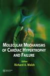 Molecular Mechanisms of Cardiac Hypertrophy and Failure 1st Edition,1842142488,9781842142486