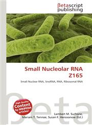 Small Nucleolar RNA Z165,6134739065,9786134739061