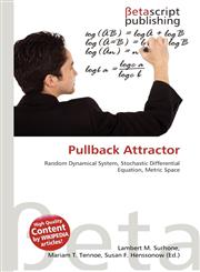 Pullback Attractor,6134838284,9786134838283