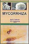 Mycorrhiza,8172334109,9788172334109