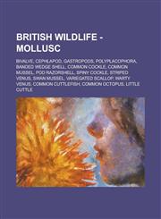 British Wildlife - Mollusc Bivalve, Cephlapod, Gastropods, Polyplacophora, Banded Wedge Shell, Common Cockle, Common Mussel, Pod Razorshell, Spin,123484219X,9781234842192