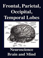 Frontal Lobes, Parietal Lobes, Occipital Lobes, Temporal Lobes, Neuroscience, Brain and Mind,0971644500,9780971644502