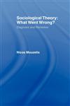 Sociological Theory What Went Wrong?: Diagnosis and Remedies,0415076943,9780415076944