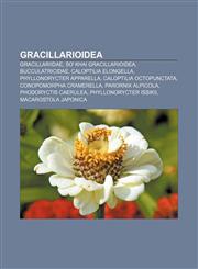Gracillarioidea Gracillariidae, Sơ khai Gracillarioidea, Bucculatricidae, Caloptilia elongella, Phyllonorycter apparella,1233896210,9781233896219