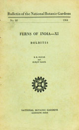 Ferns of India - XI : Bolbitis