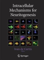 Intracellular Mechanisms for Neuritogenesis,038733128X,9780387331287