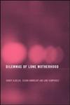 The Dilemmas of Lone Motherhood: Essays from Feminist Economics,0415360188,9780415360180