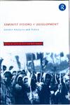 Feminist Visions of Development Gender Analysis and Policy,0415157900,9780415157902
