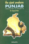 The Giant Awakens Punjab Industry and Growth 1st Edition,8187943386,9788187943389