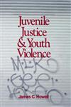 Juvenile Justice and Youth Violence,0761903739,9780761903734