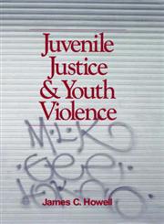 Juvenile Justice and Youth Violence,0761903739,9780761903734