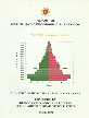 Report of Health and Demographic Survey - 2000, Population Pyramid